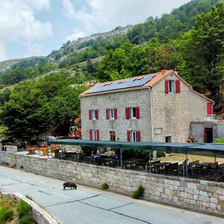 Ferme Auberge Du Col De La Vaccia Olivese Экстерьер фото