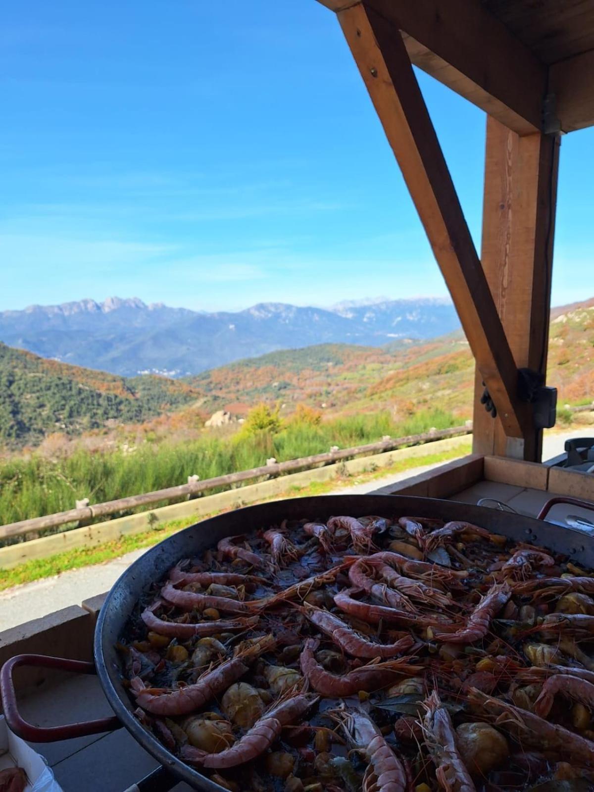 Ferme Auberge Du Col De La Vaccia Olivese Экстерьер фото